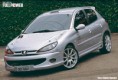 /album/galeria-de-fotos/copia-de-ed1-peugeot206-2-copia-jpg/